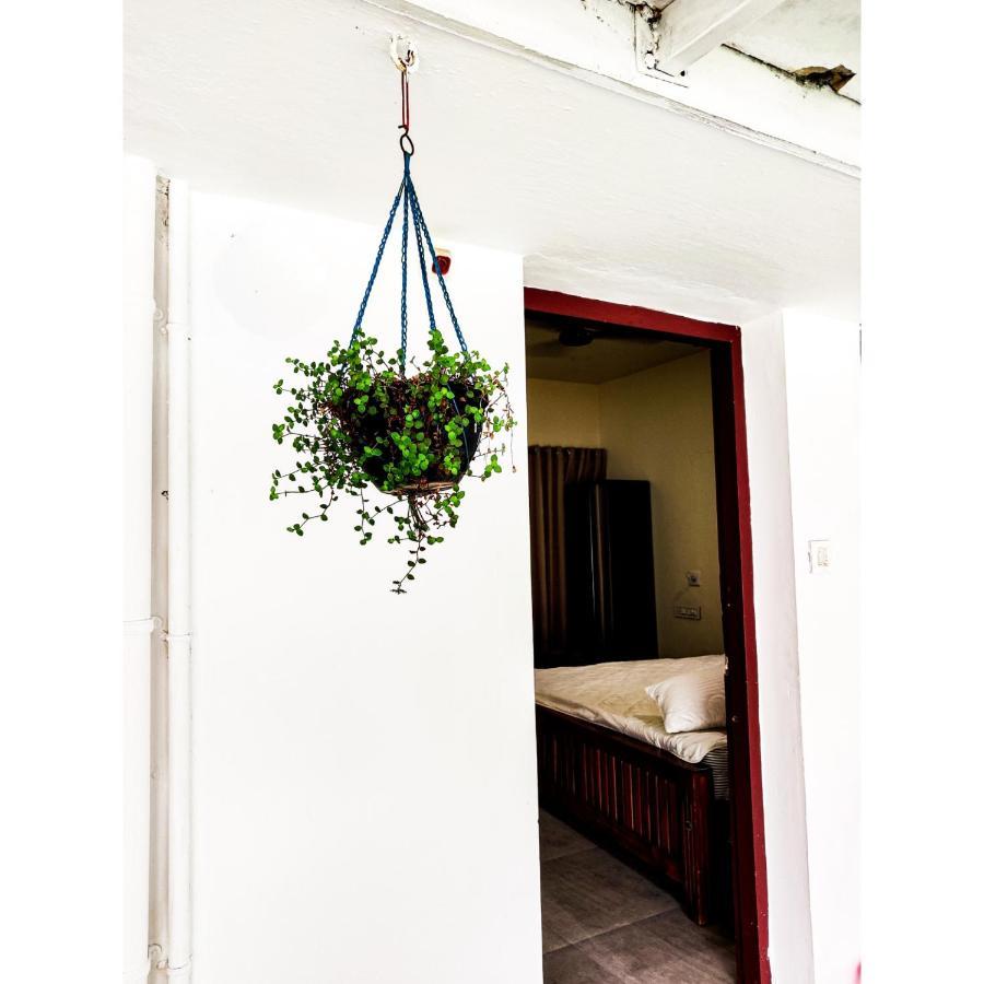 Nature Villa Kochi Alwaye المظهر الخارجي الصورة